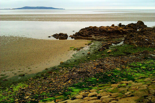Blackrock Dublin Blackrock Dublin